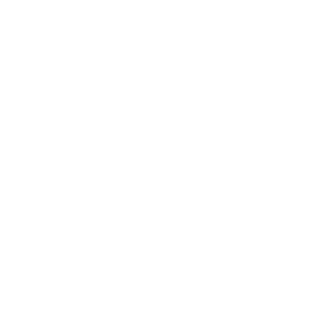 לוגו פרויקט בית-שמש